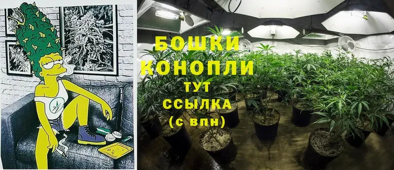 Шишки марихуана THC 21%  где купить наркоту  Тулун 